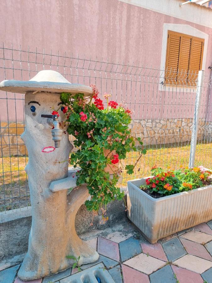 Apartment Celaj Velipojë エクステリア 写真