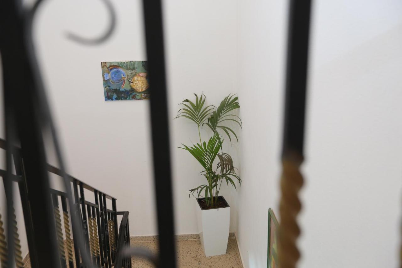 Apartment Celaj Velipojë エクステリア 写真